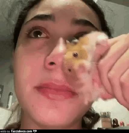 gif animata