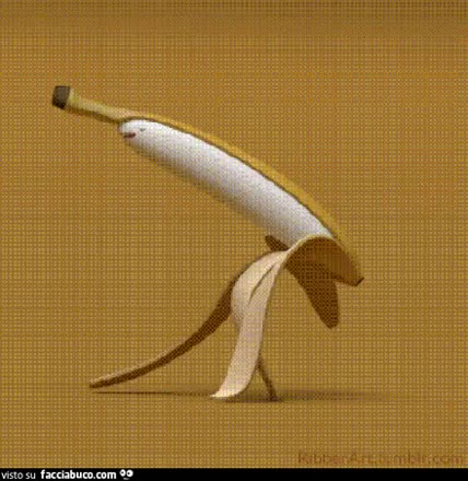 gif animata