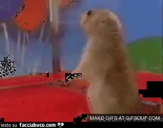 gif animata