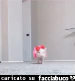 gif animata