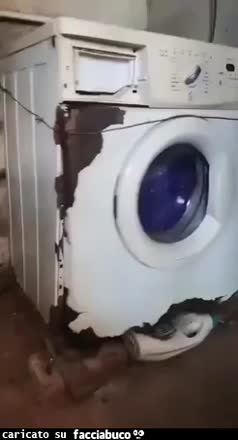 Gif Animata