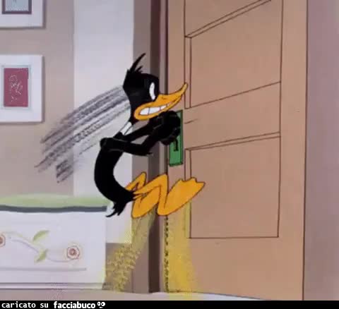 gif animata