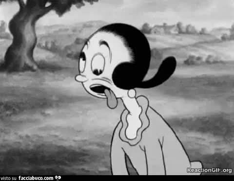 gif animata