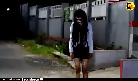 Gif Animata