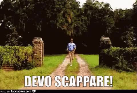 gif animata
