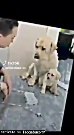 Come una madre difende il suo cucciolo