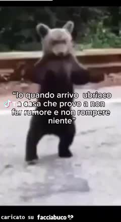 gif animata