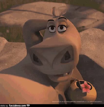 gif animata