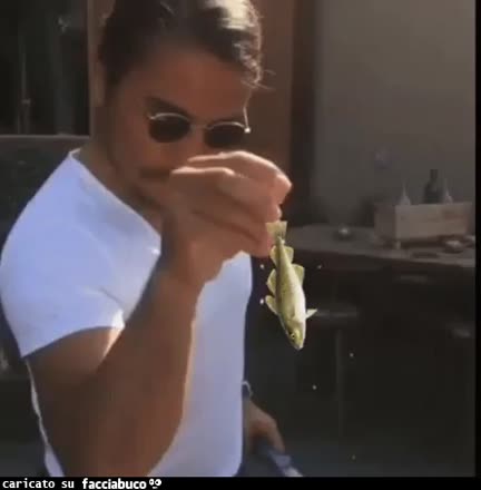 gif animata