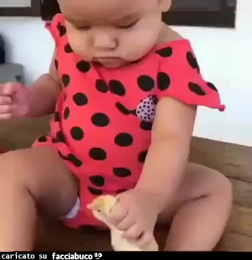 gif animata