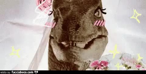 gif animata