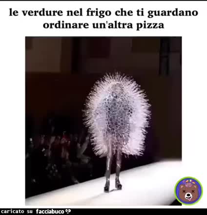 Gif Animata