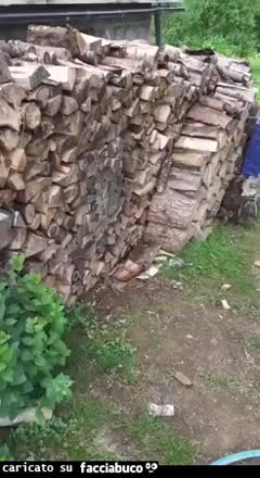 Gif Animata