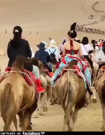 Gif Animata