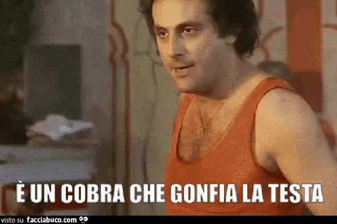 gif animata
