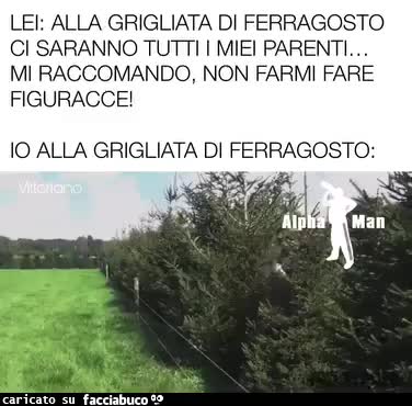 Gif Animata