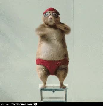 gif animata