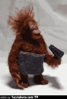 gif animata